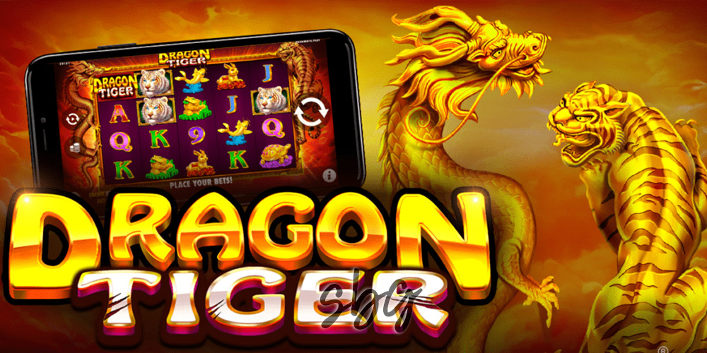 Dragon Tiger Tergacor